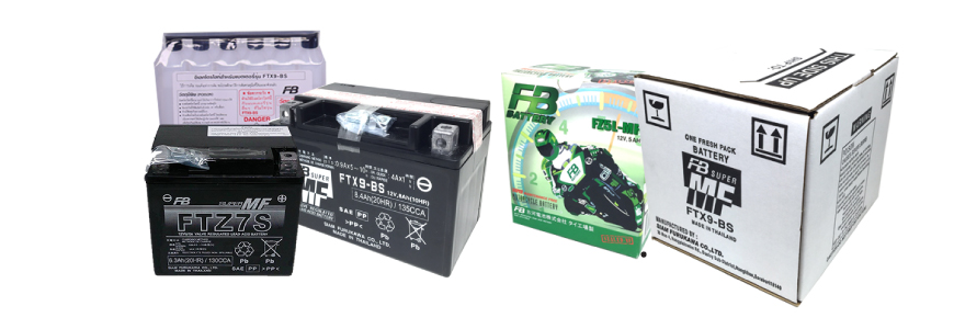 Maintenance Free Battery